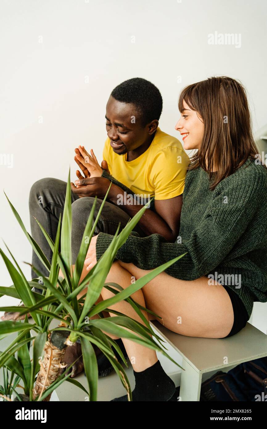 Joyeux jeune couple multiracial dans des vêtements décontractés souriant et tenant les mains tout en étant assis sur les escaliers près de la plante en pot contre le mur blanc ensemble Banque D'Images