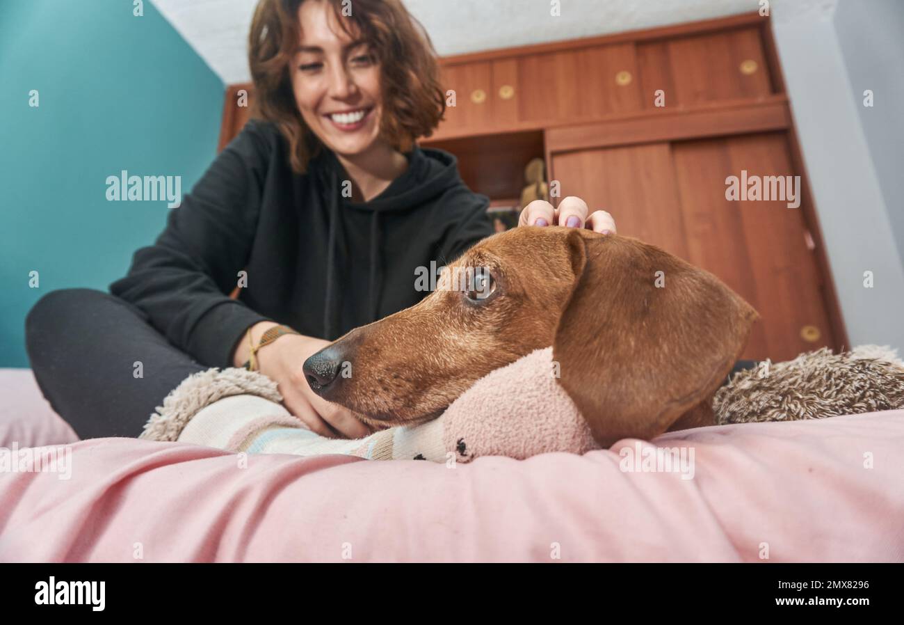 Jeune femme gaie tenue noire et lunettes assises sur un lit doux avec adorable chien brun de Dachshund et le caresser Banque D'Images