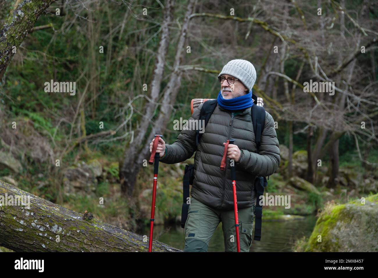 Randonneur positif senior dans des vêtements chauds et chapeau avec sac à dos et bâtons de randonnée pédestre sur le chemin dans la forêt pendant le voyage de randonnée Banque D'Images