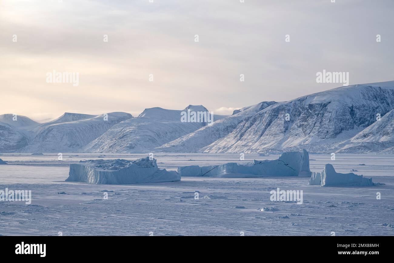 Icebergs gelés dans la glace de mer du fjord d'Uummannaq, au nord-ouest du Groenland Banque D'Images