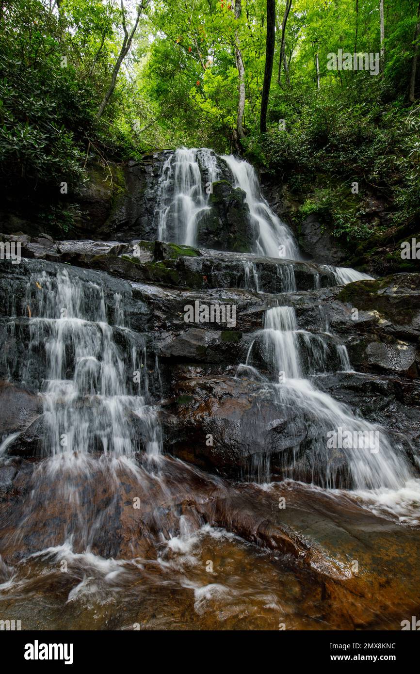 Laurel Falls le long de la route de Laurel Falls dans le parc national des Great Smoky Mountains, Tennessee. Banque D'Images