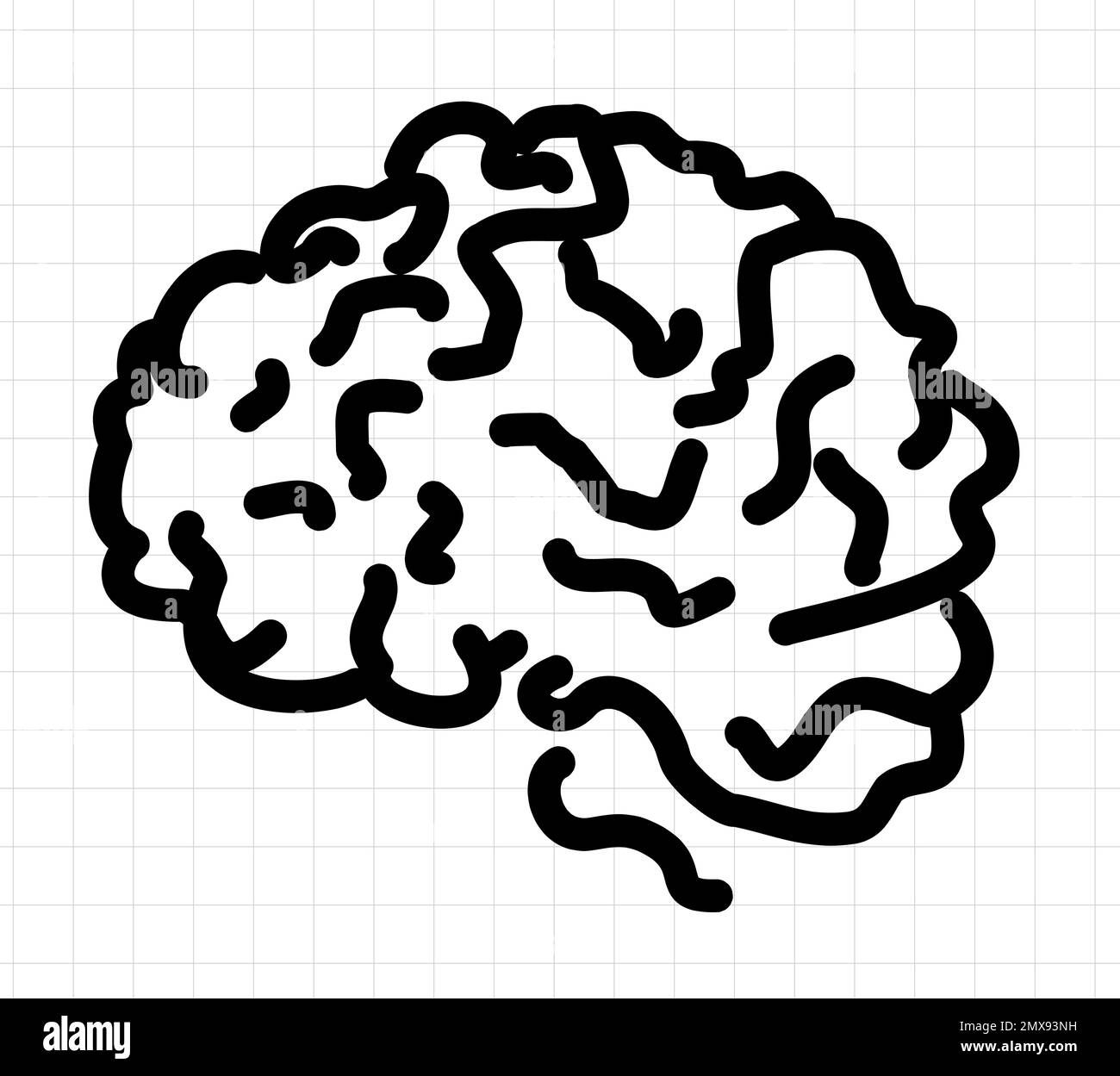 Illustration du cerveau humain sur fond blanc Banque D'Images