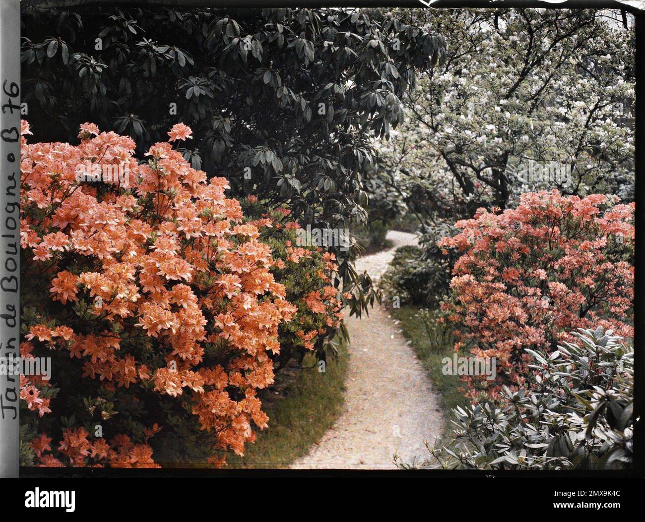 Propriété d'Albert Kahn, Boulogne, France le chemin de Round le long du Marais au Nord , Banque D'Images