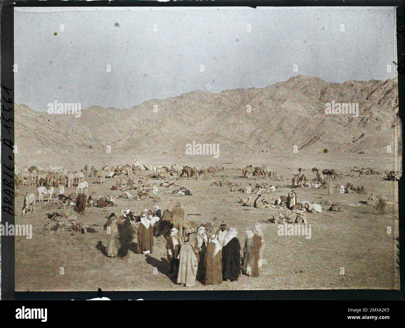 Aqaba, Arabie (Jordanie actuelle) Groupe bédouin , 1918 - proche-Orient, Egypte, Palestine, Chypre - Paul Castelnau (section photographique des armées) - (9 janvier -6 octobre) Banque D'Images