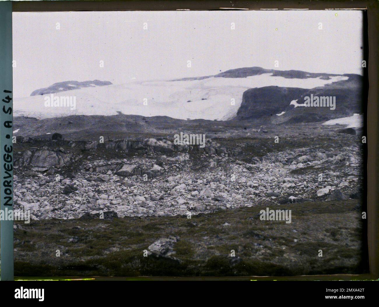 Fin, Norvège le glacier Hardangerjökulen , 1910 - Voyage d'Albert Kahn et Auguste Léon en Scandinavie - (9 août - 14 septembre) Banque D'Images