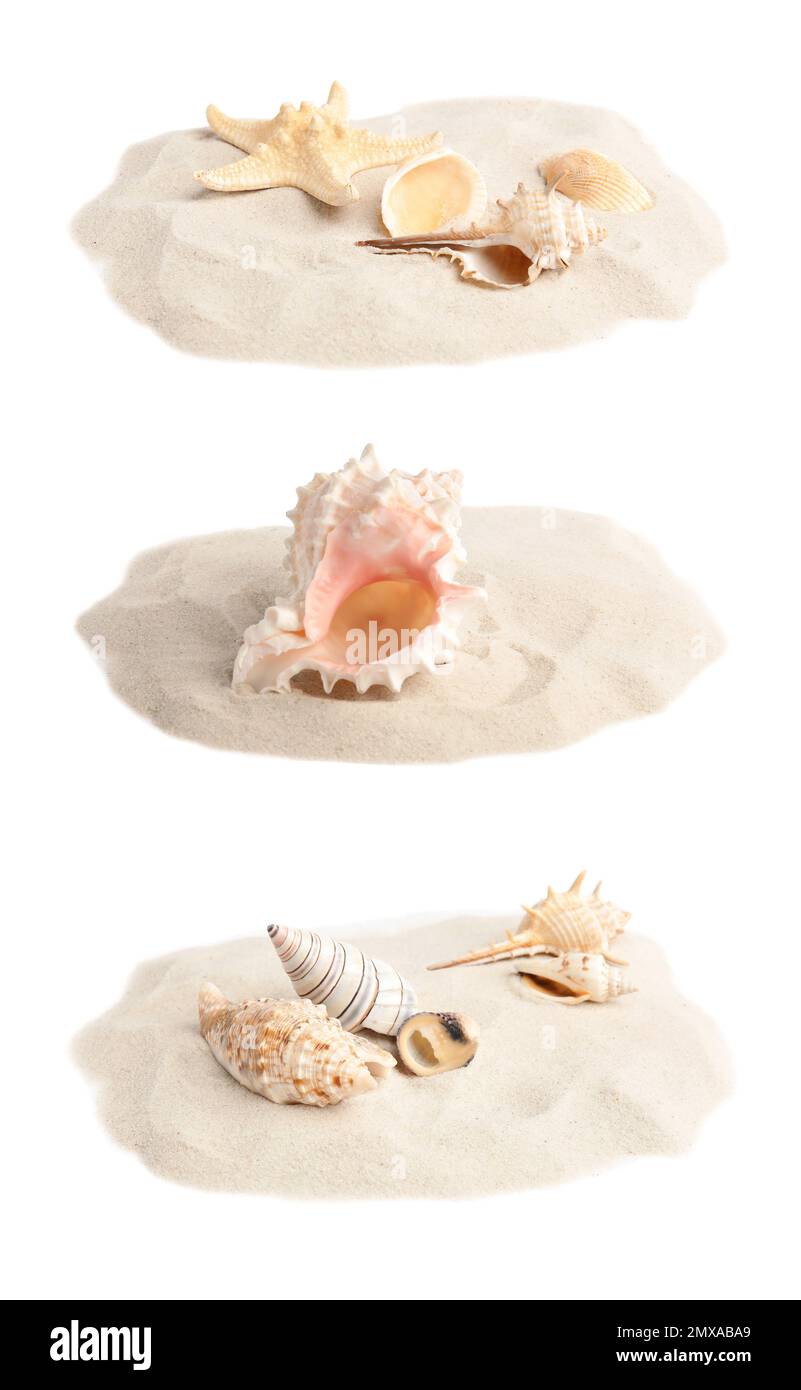Ensemble de piles de sable avec coquillages sur fond blanc Banque D'Images