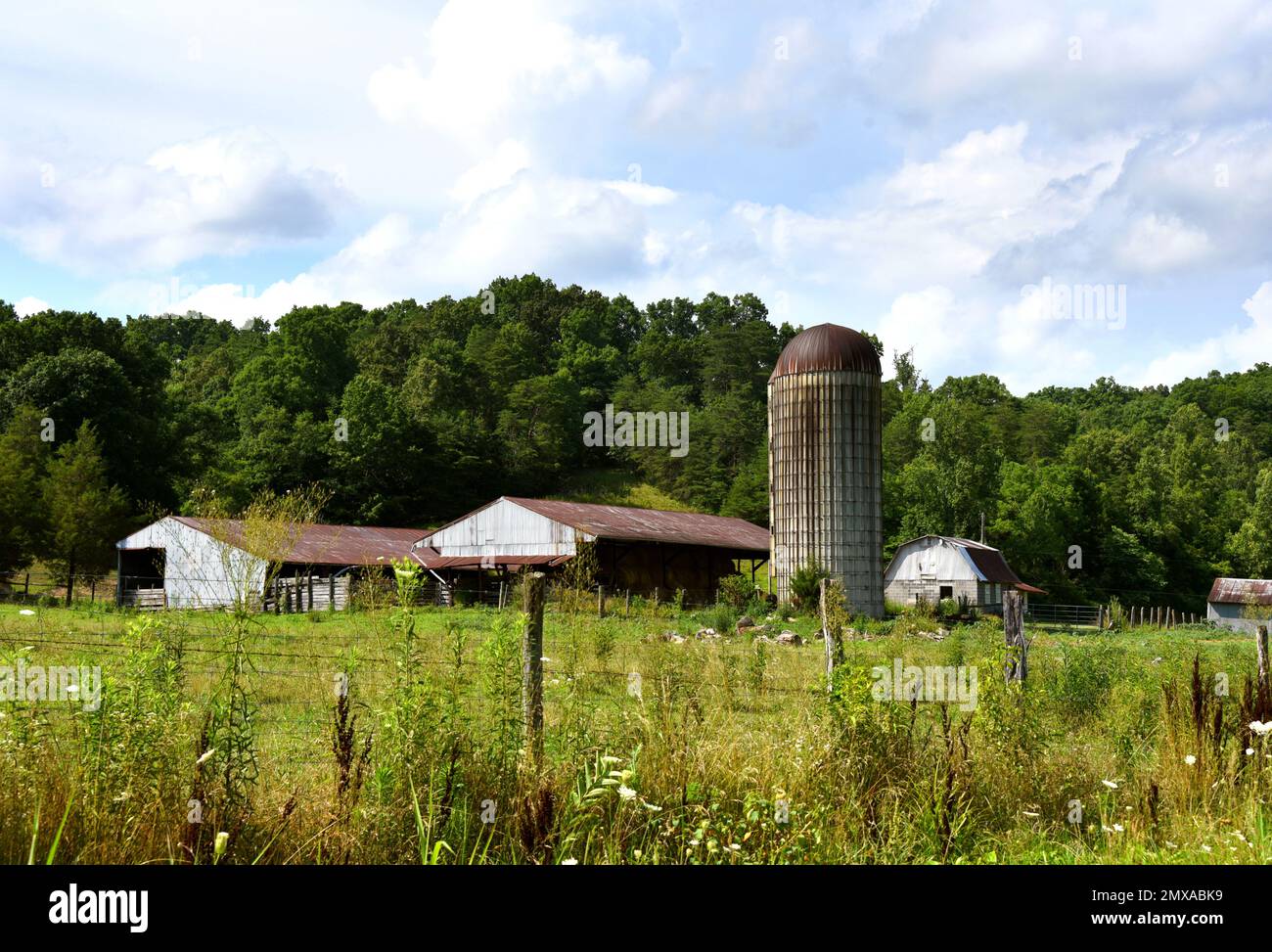 Clôture rustique devant la photo. La grange et plusieurs hangars ont tous des toits en étain. Le silo a un sommet rouillé bombé. Banque D'Images