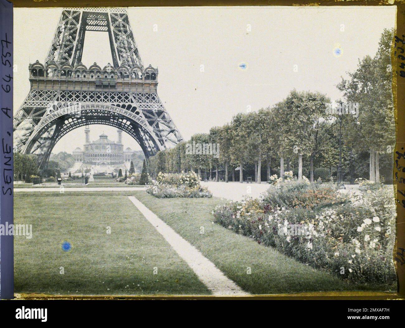 Paris (VIIE-XVIe arr.), France le champ-de-Mars, la Tour Eiffel et le Trocadéro , Banque D'Images