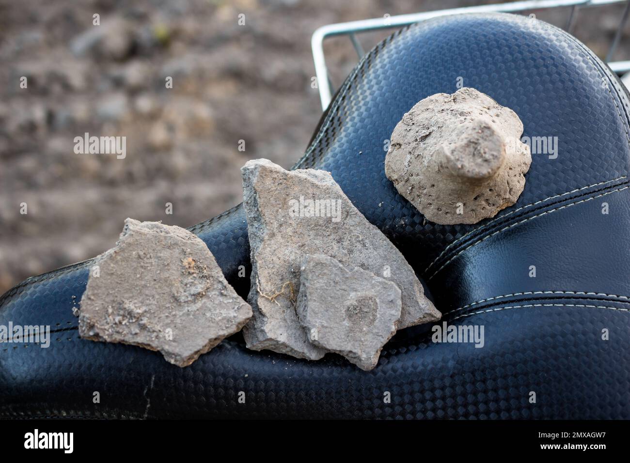 Fragments non nettoyés de récipients en céramique et un plongeur du type de Dyakov trouvé dans une ancienne colonie. Région de Kaluga, Russie Banque D'Images
