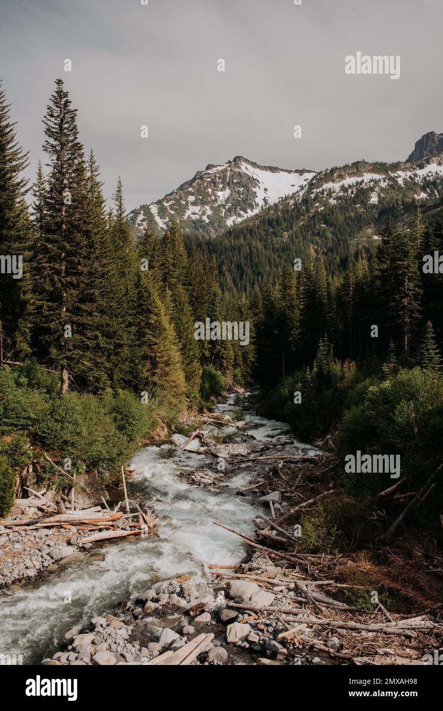 Mt Rainier National Park Banque D'Images