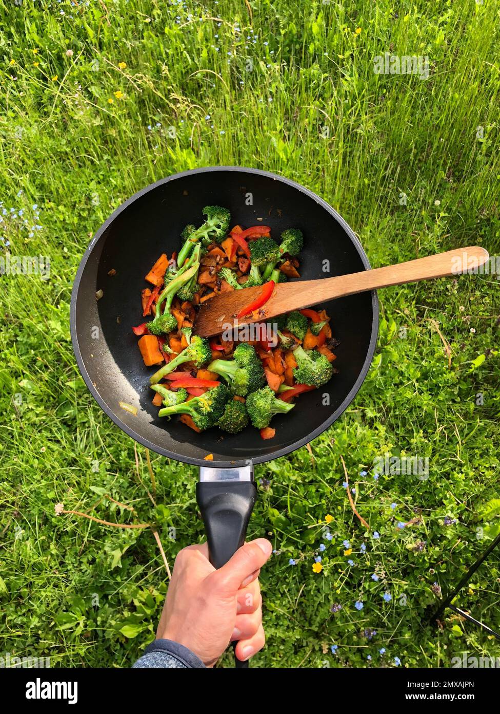 Poêle à main avec légumes frits, poêle wok, Bavière, Allemagne Banque D'Images