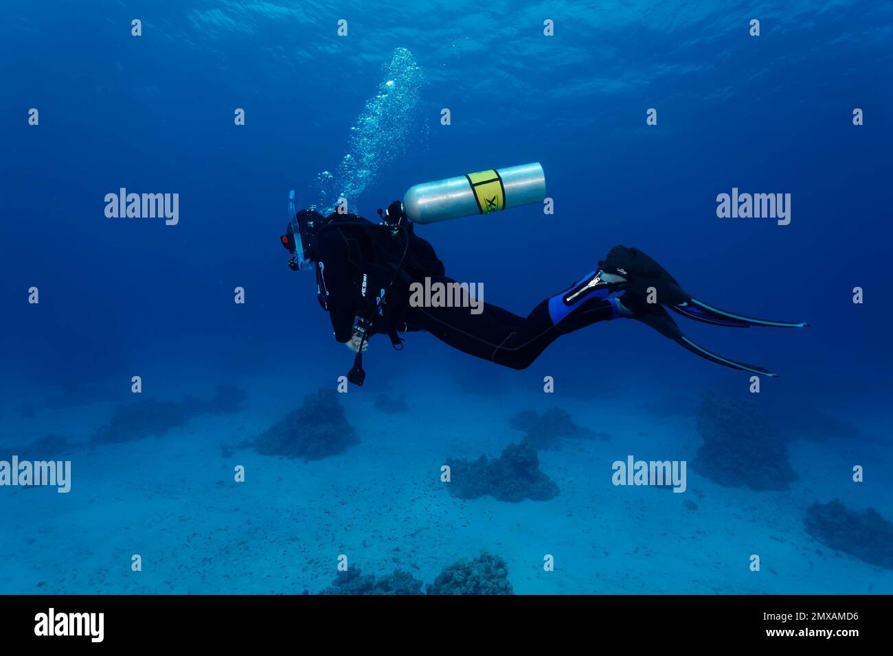Plongeur, plongée libre, Nitrox, Port Safaga, Mer Rouge, Égypte Banque D'Images