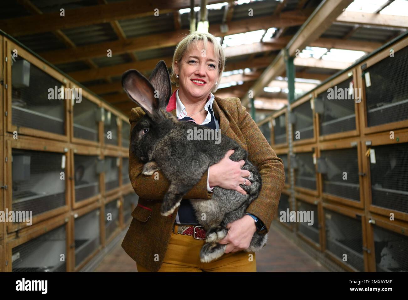 Moormerland, Allemagne. 01st févr. 2023. Le meilleur éleveur de lapins de l'Allemagne Sabine Eggerking (championne allemande 3x, gagnante nationale 3x ainsi que gagnante de classe 3x ) avec son buck de lapin Kelly, gagnante nationale aux lapins géants allemands et meilleur animal de la race. Lors de l'exposition fédérale de lapins, le Rassekaninchenzuchtverein I 47 Moormerland, en Frise orientale, a été élu meilleur club de lapins en Allemagne. Le concours a eu lieu pour la première fois. Crédit : Lars Klemmer/dpa/Alay Live News Banque D'Images