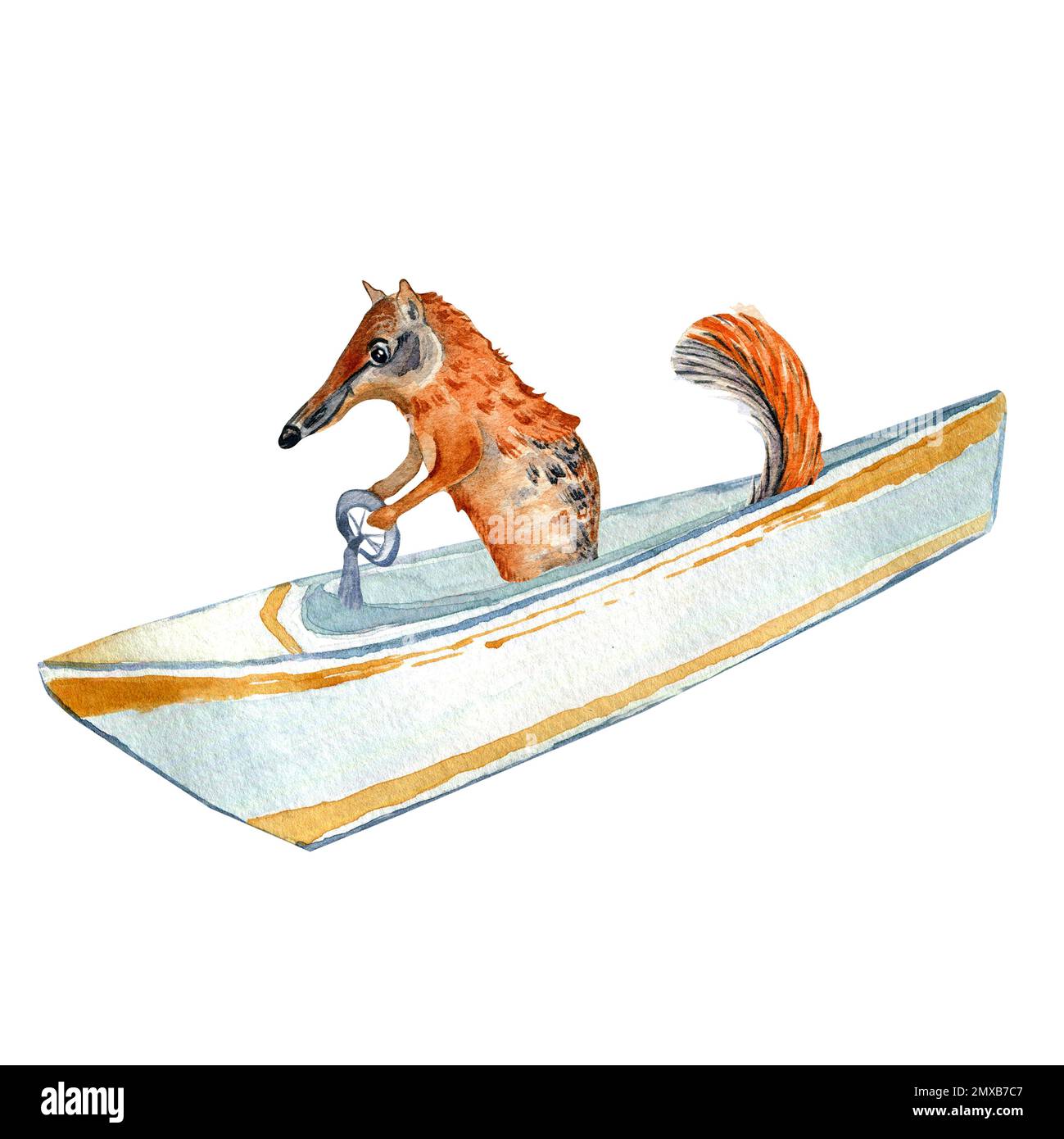 Dessin animé nambat, anteater et aquarelle de bateau isolé sur fond blanc. Mignon animal australien a l'eau sport dessiné à la main. Design elem Banque D'Images