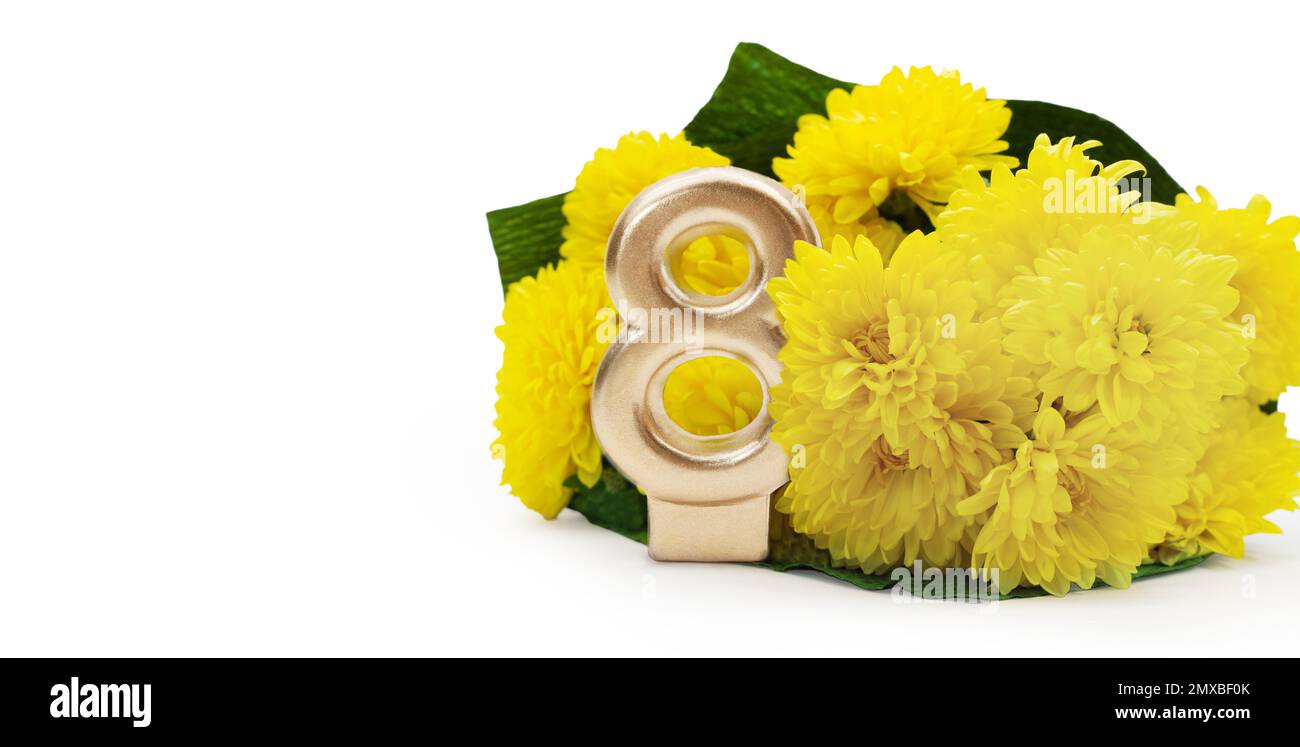 Bouquet de chrysanthèmes jaunes avec le numéro doré 8 avec espace pour le texte sur fond blanc isolé. Journée internationale de la femme, 8 mars, anniversaire. Banque D'Images