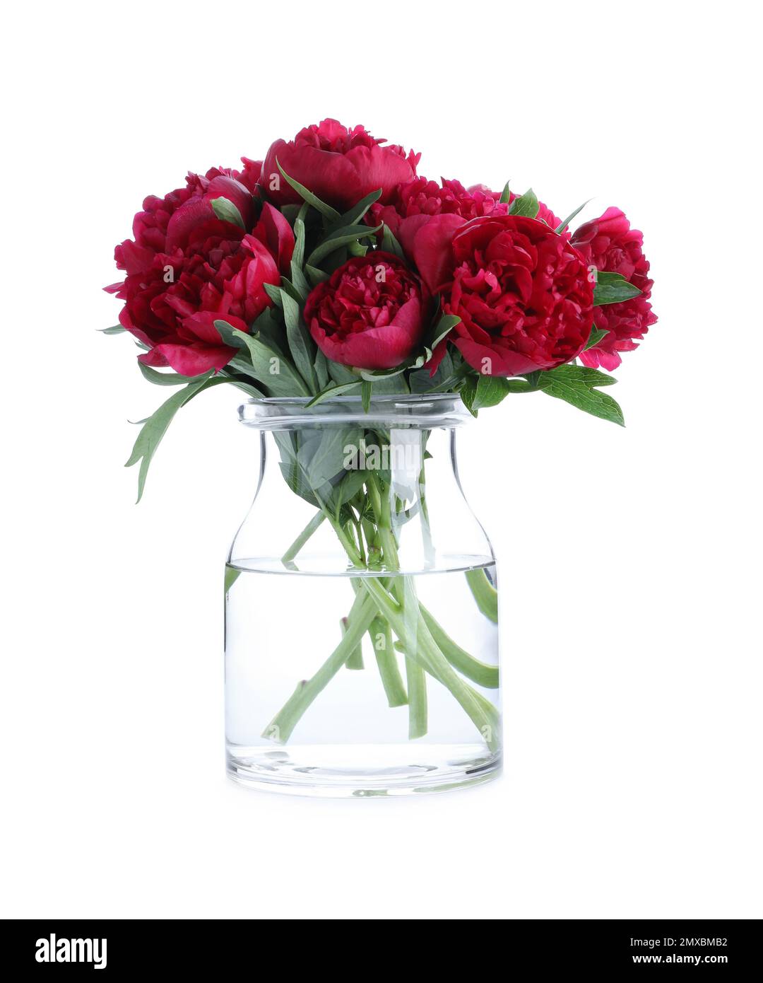Bouquet de belles pivoines rouges dans un pot en verre isolé sur blanc Banque D'Images