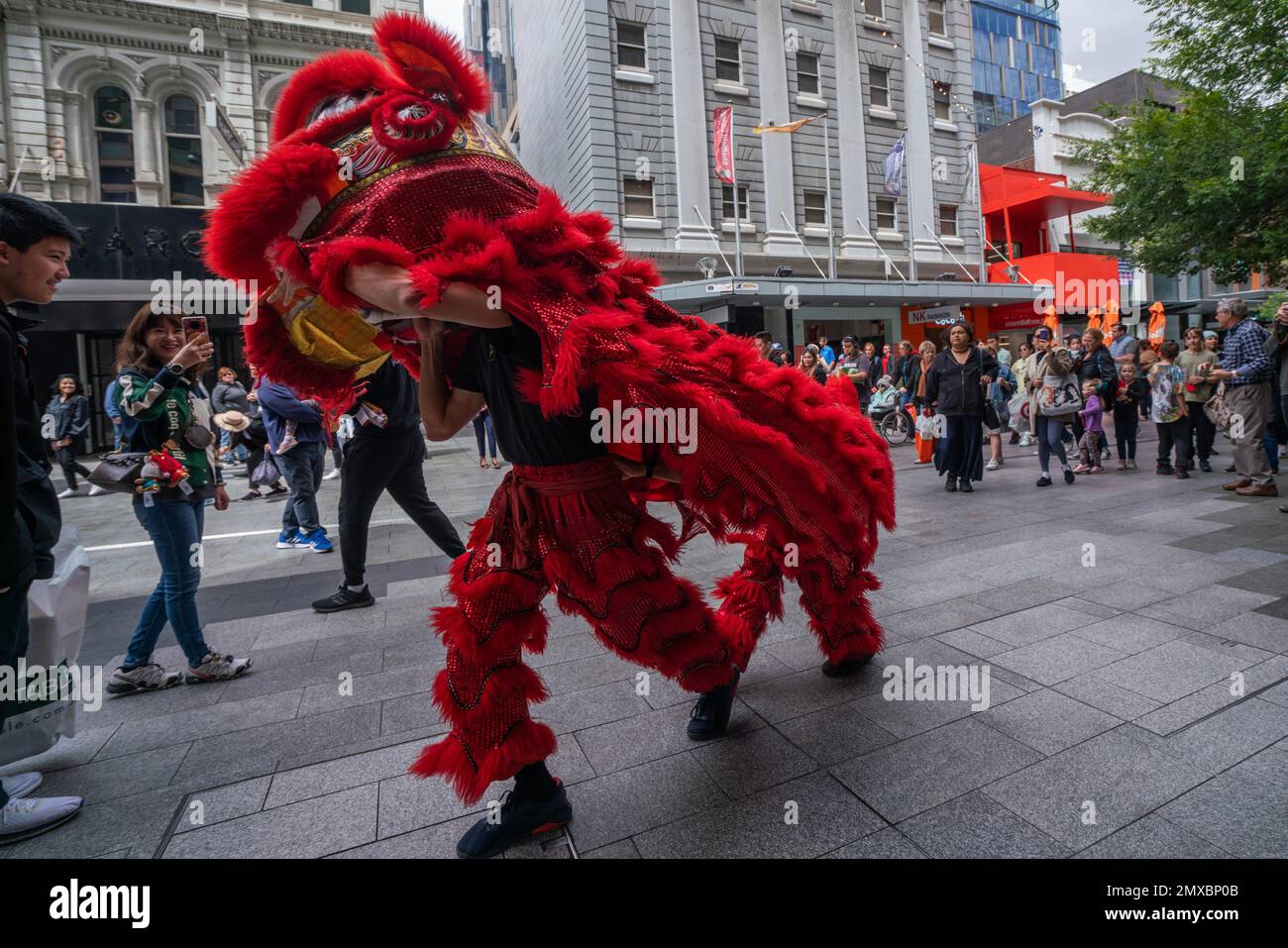 Adélaïde, Australie. 3 février 2023. Les danseurs de lion divertissent la foule et produisent des bénédictions au Rundle Mall, à Adélaïde, pour célébrer le festival de printemps et la nouvelle année lunaire chinoise du lapin crédit : amer ghazzal/Alamy Live News Banque D'Images