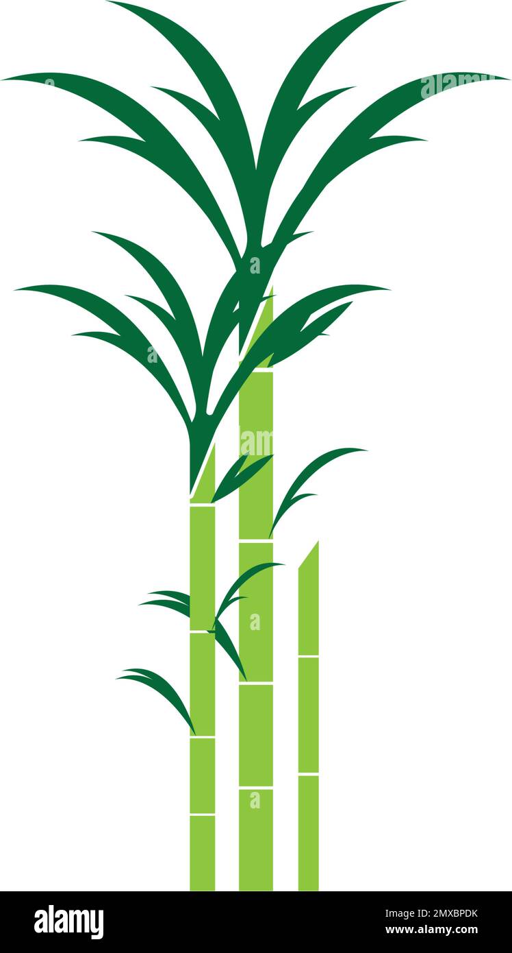 Canne à sucre icône Vector Illustration design modèle de logo Illustration de Vecteur