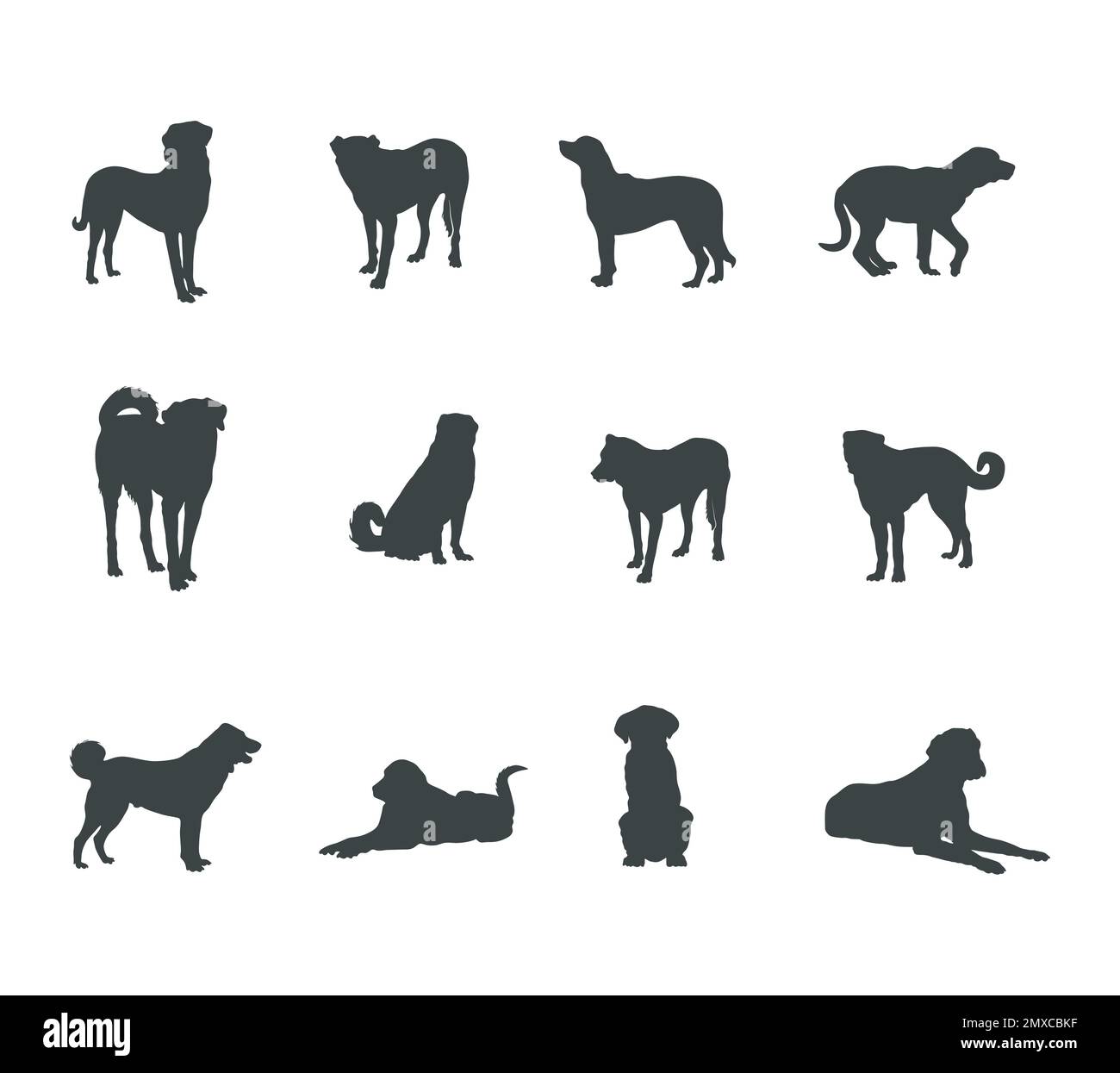 Silhouettes pour chiens de berger anatoliens, ensemble de silhouettes pour chiens de berger anatoliens Illustration de Vecteur