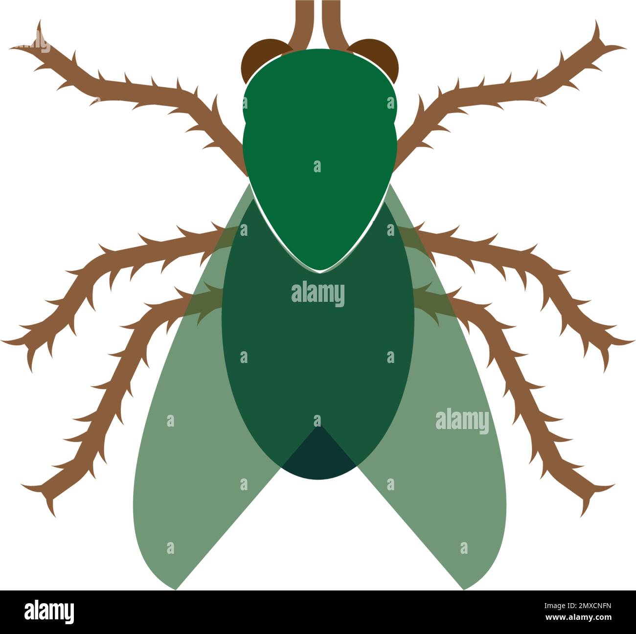 Motif de symbole d'illustration de vecteur d'icône d'insecte. SPE 10. Illustration de Vecteur