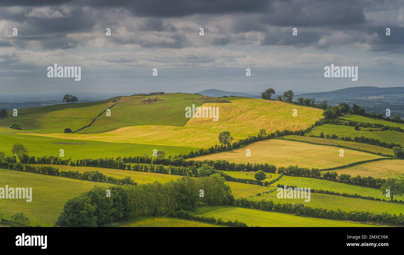 Anciennes chambres de sépulture néolithique et cercles de pierre de Loughcrew Cairns au sommet d'une colline, illuminés par la lumière du soleil, Comté de Meath, Irlande Banque D'Images