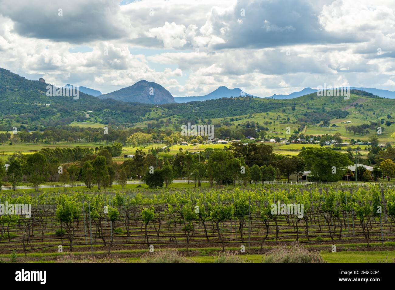 Admirez le vignoble, la vallée et les montagnes ensoleillées, sous un ciel nuageux Banque D'Images