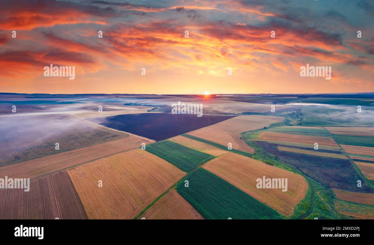 Photographie aérienne de paysage. Superbe vue d'été depuis un drone volant de champs de blé. Magnifique scène matinale de la campagne ukrainienne, Ternopil re Banque D'Images