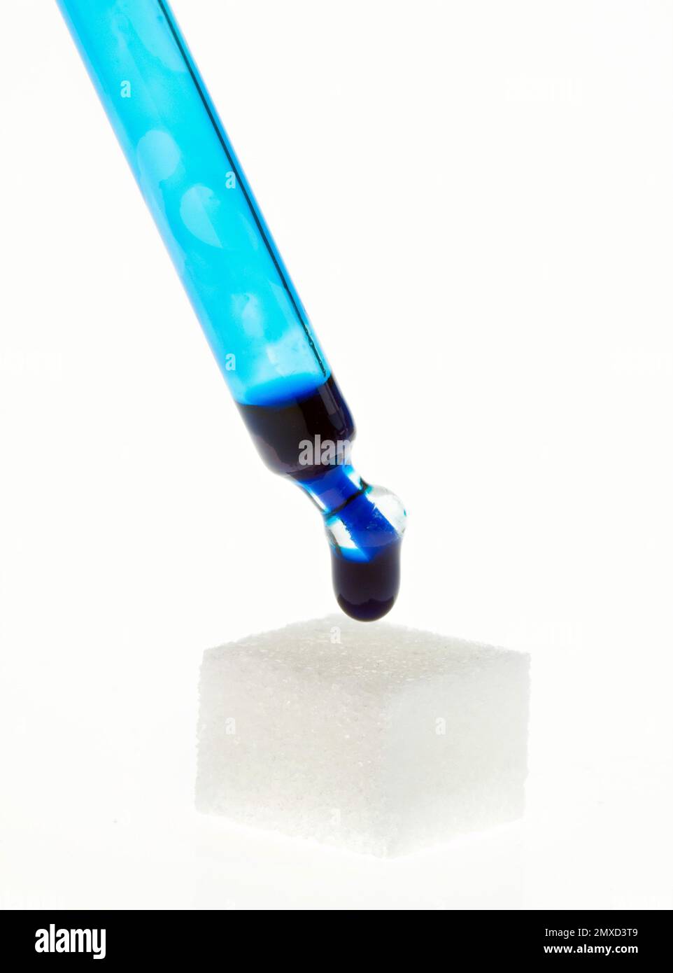 le vaccin bleu est appliqué sur un morceau de sucre à l'aide d'une pipette, symbole de vaccination orale Banque D'Images