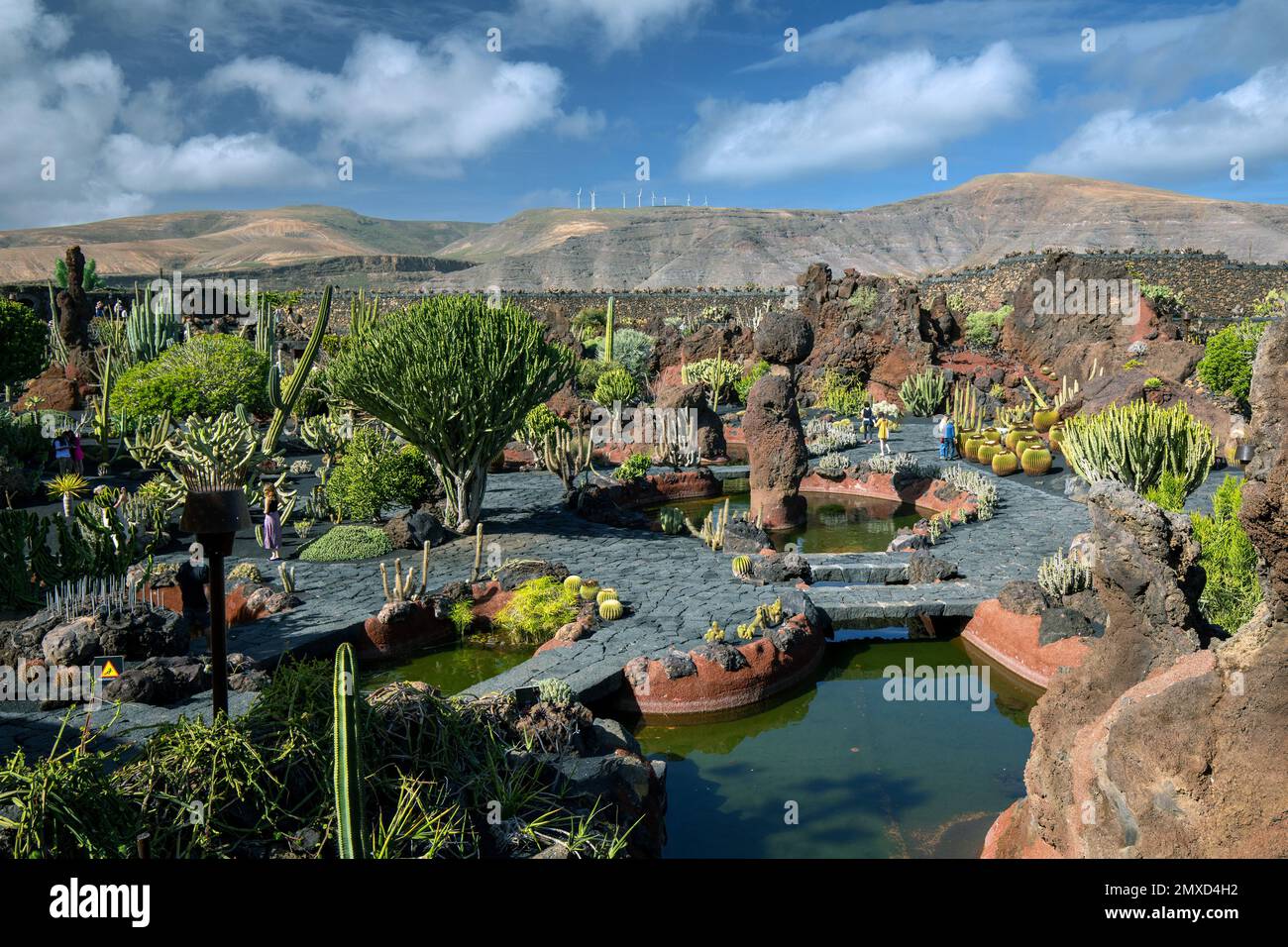 jardin de cactus Guatiza, îles Canaries, Lanzarote, Guatiza Banque D'Images