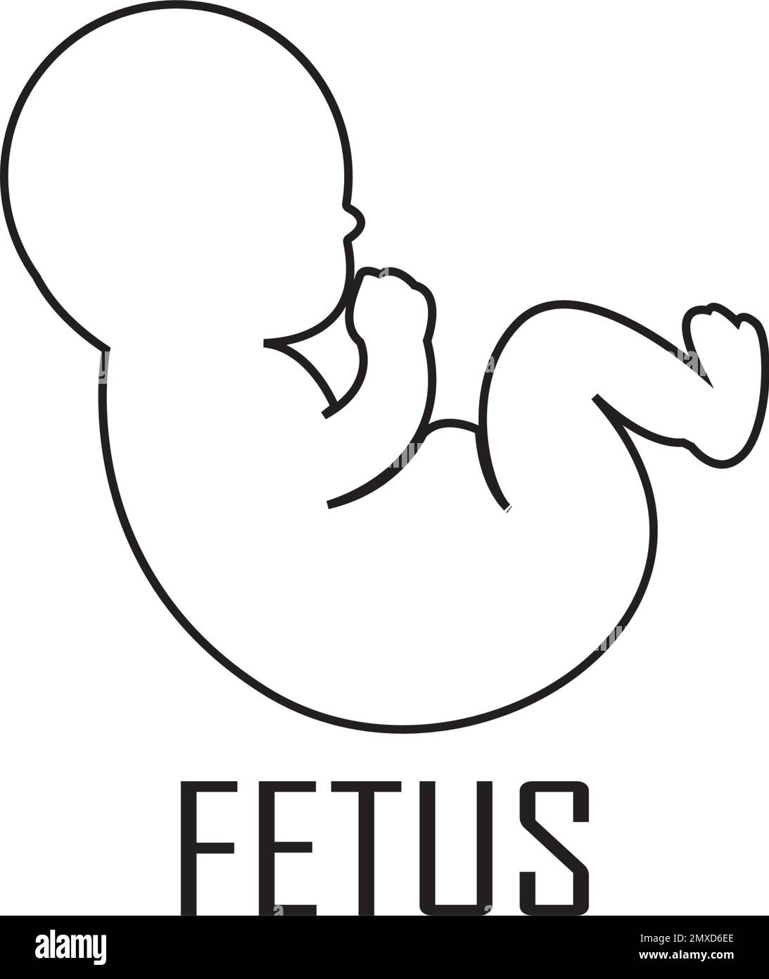 Logo du fœtus dessin d'illustration vectorielle . Illustration de Vecteur