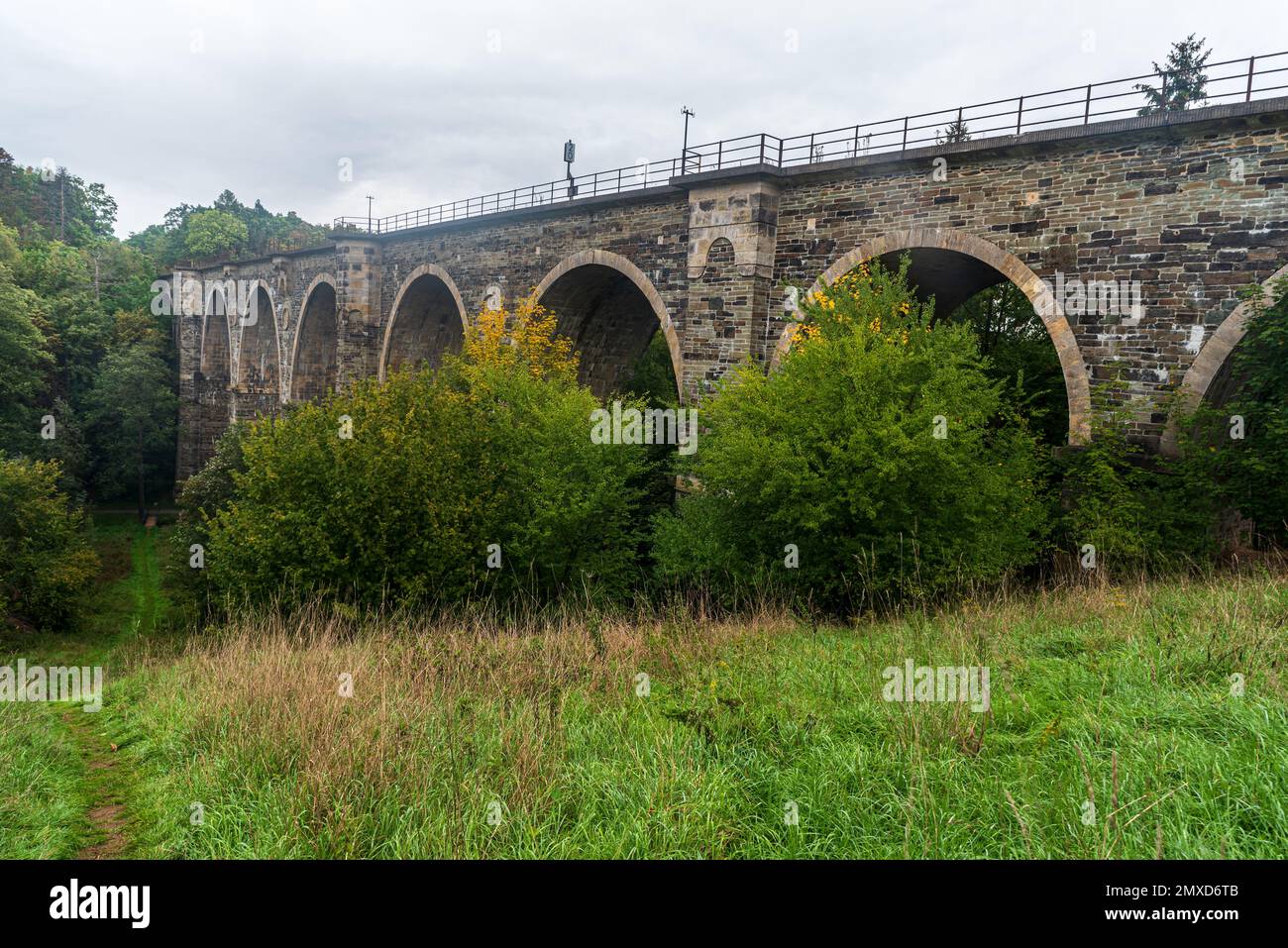 Pont de chemin de fer en brique avec arbres autour - Syratalbrucke au-dessus de Syratal dans la ville de Plauen en Allemagne Banque D'Images