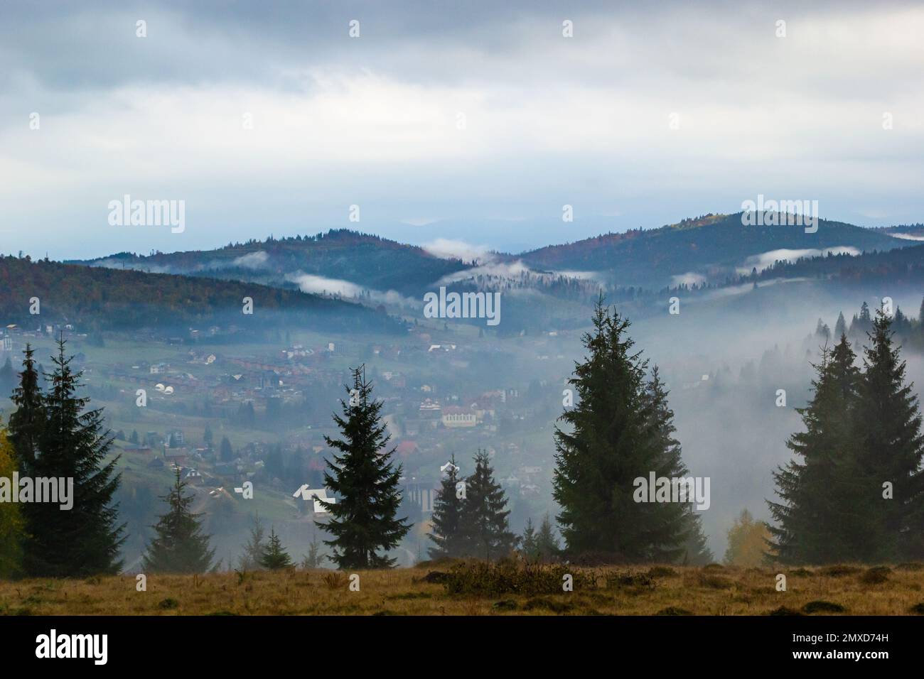 Paysage d'automne avec brouillard dans les montagnes. Forêt de sapins sur les collines. Carpates, Ukraine, Europe. Photo de haute qualité. Banque D'Images
