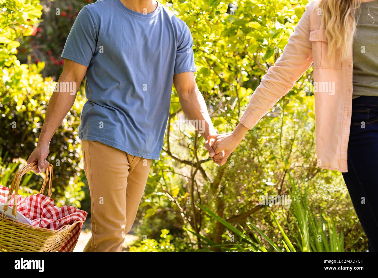 Milieu de couple divers tenant les mains marchant dans le jardin ensoleillé avec panier de pique-nique Banque D'Images