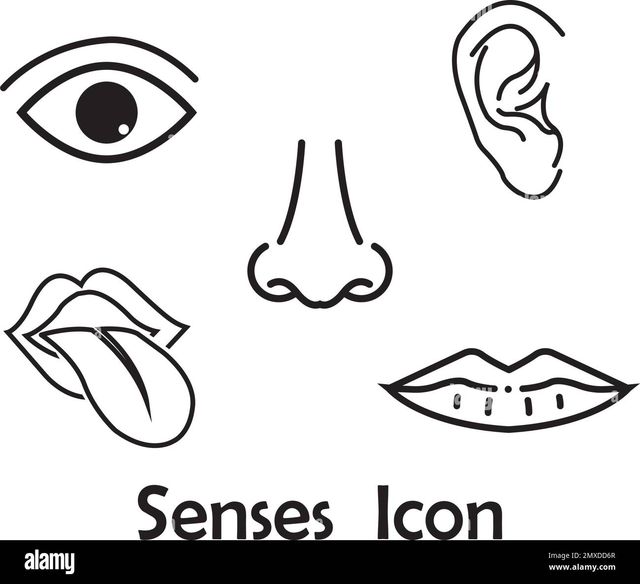 Ensemble de cinq sens humains: La vue, l'odeur, l'ouïe, le toucher, le goût. Icônes de ligne simple. Illustration de Vecteur