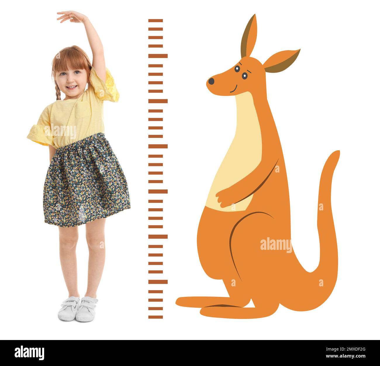 Petite fille mesurant la hauteur et dessin de kangourou sur fond blanc Banque D'Images