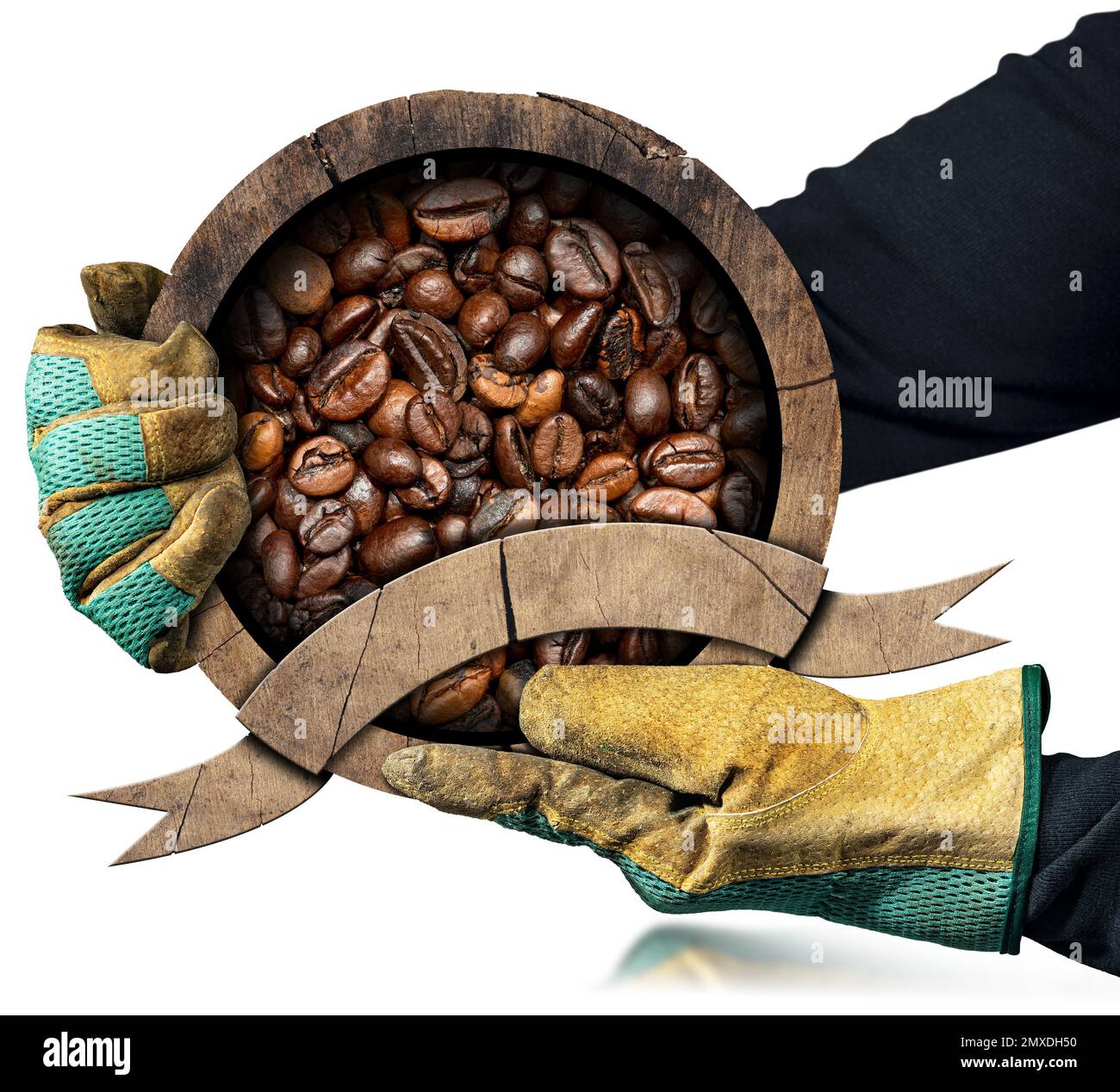 Mains avec gants de travail portant une icône en bois rond ou un symbole avec grains de café torréfiés à l'intérieur et ruban vierge avec espace de copie. Isolé sur blanc. Banque D'Images