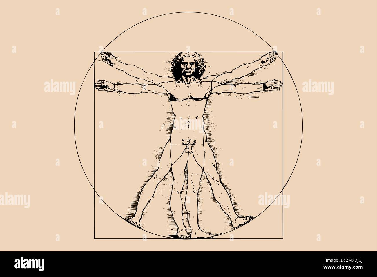 Homme de Vitruvian par Leonardo Da Vinci - illustration vectorielle isolée Illustration de Vecteur