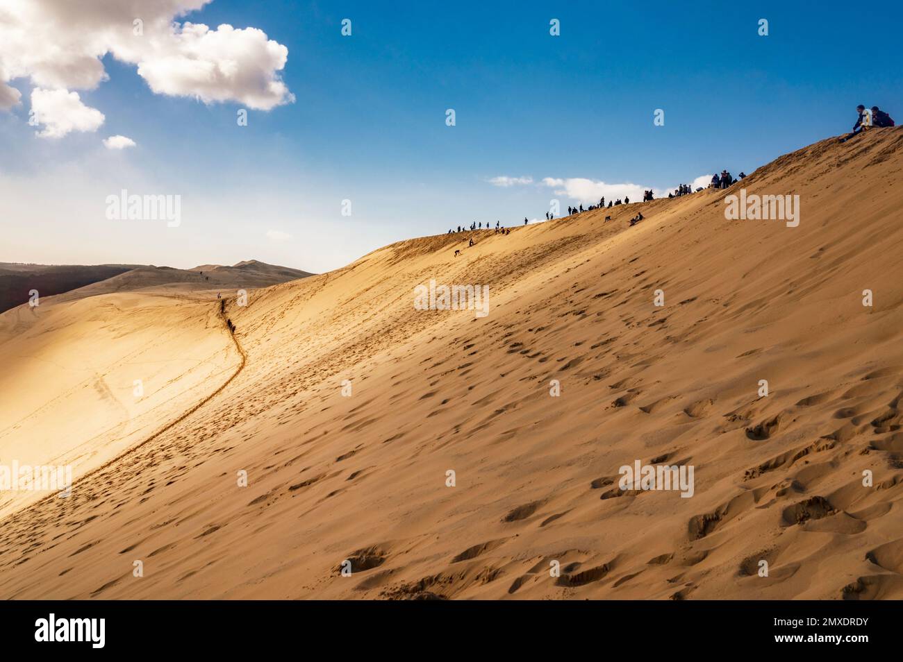 La dune du Pilat sur la côte atlantique de la Nouvelle-Aquitaine est la plus haute colline de sable d'Europe avec 103 mètres, au sud-ouest de la France Banque D'Images