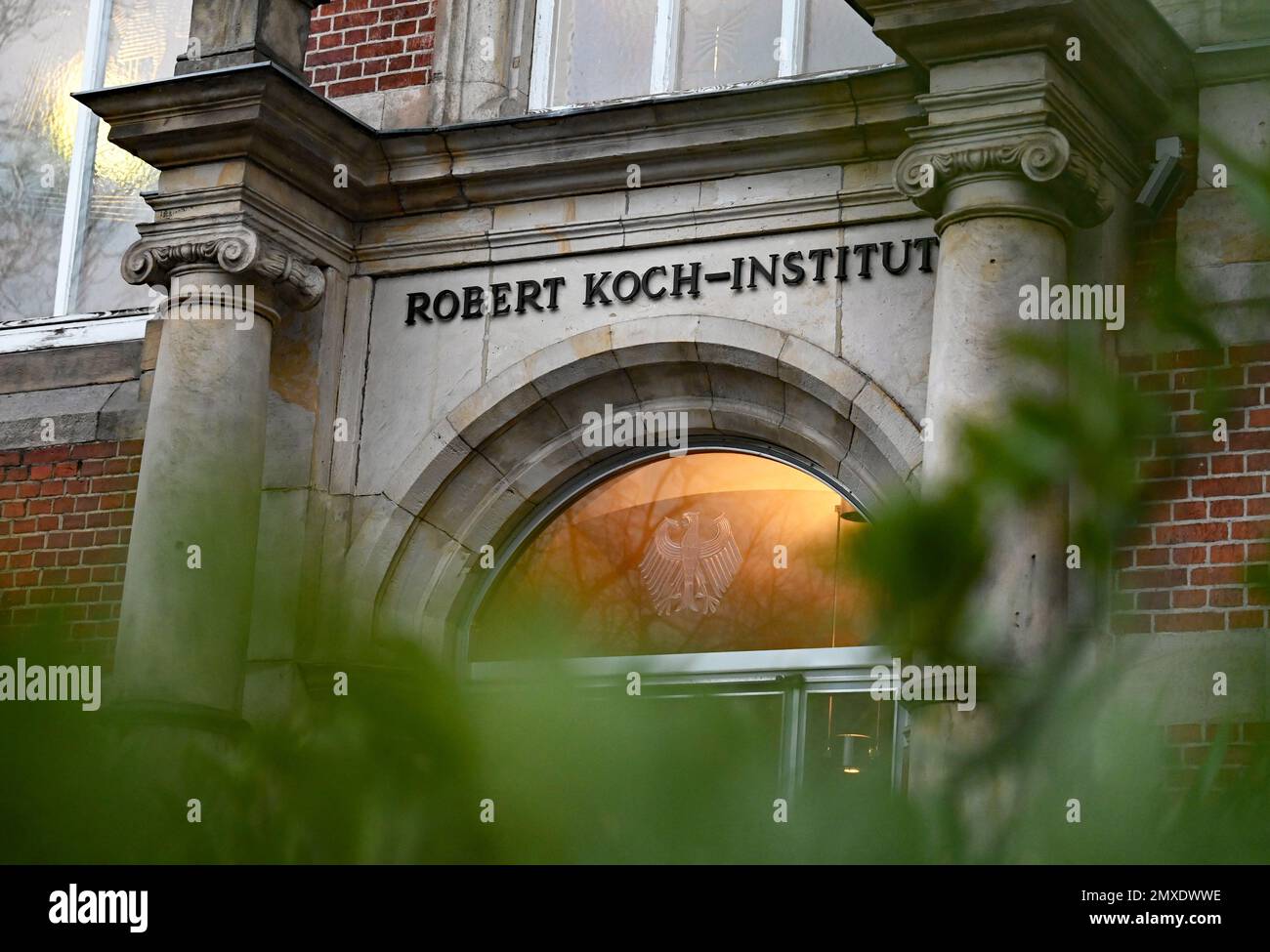 Berlin, Allemagne. 03rd févr. 2023. L'entrée de l'Institut Robert Koch (RKI). Le RKI a abaissé le risque de corona de élevé à modéré. Credit: Philipp Znidar/dpa/Alamy Live News Banque D'Images