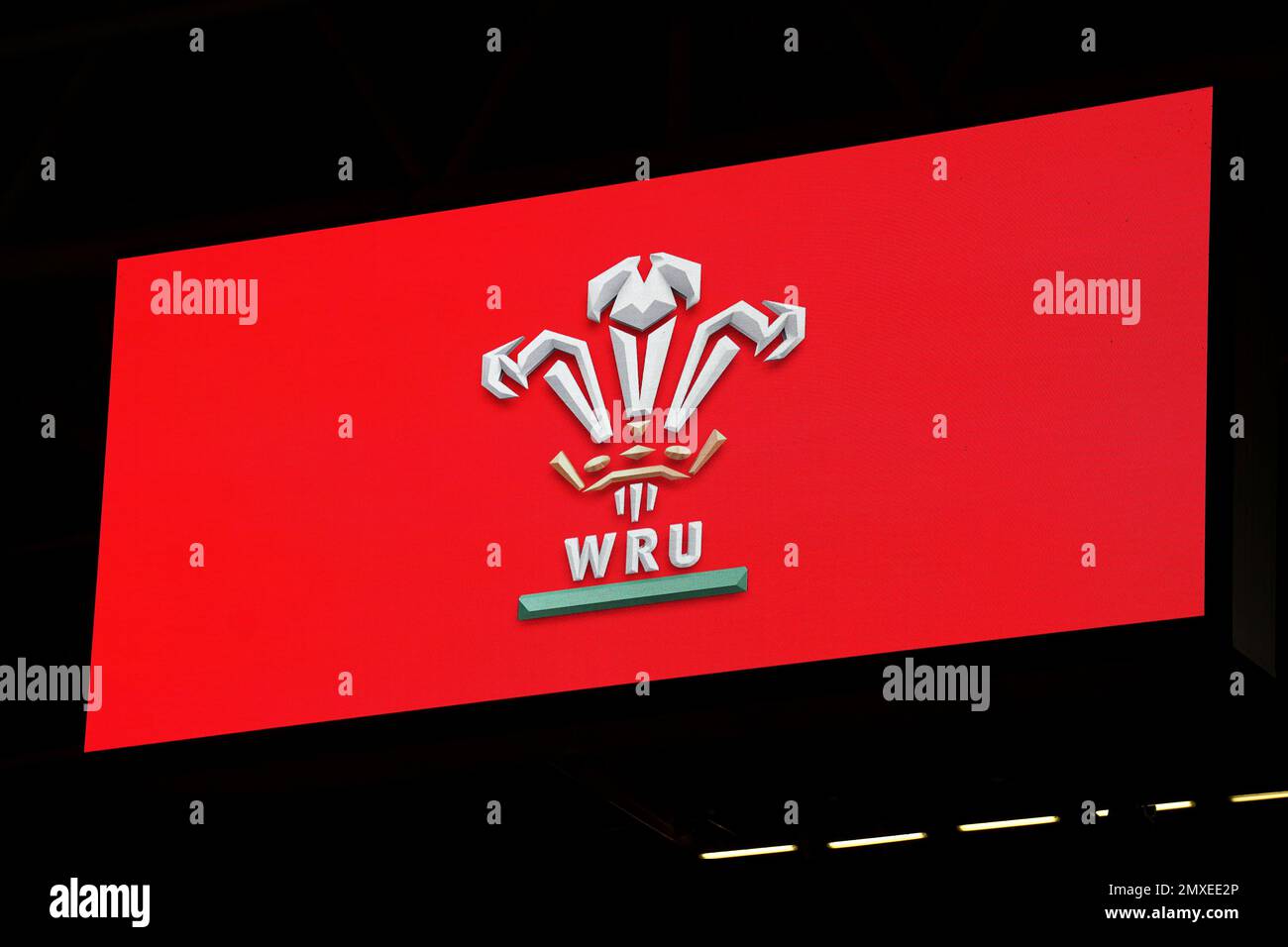 Vue générale du logo de la Wale Rugby Union après la course des