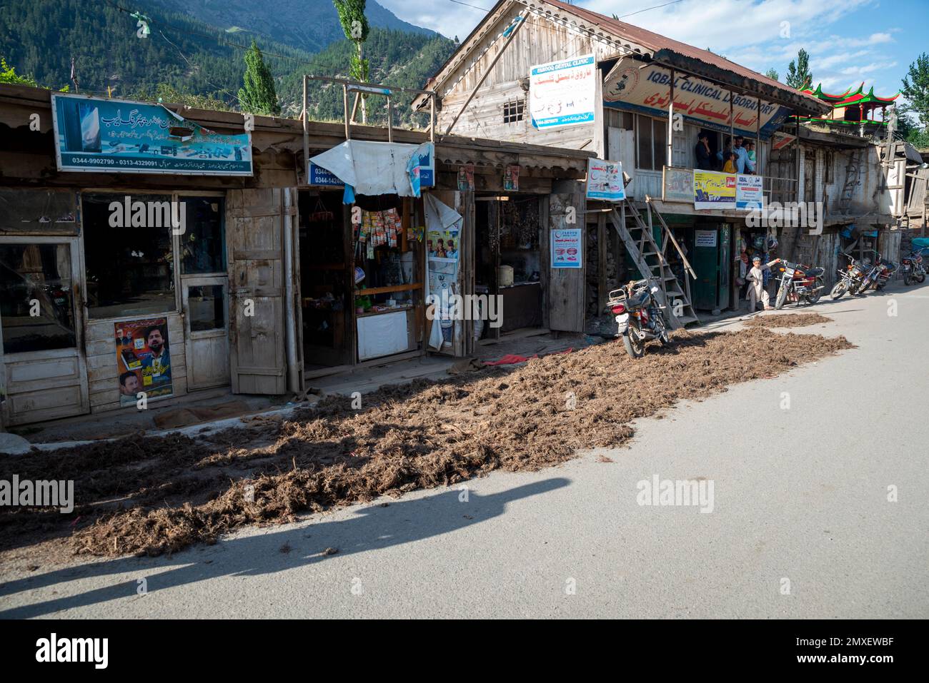 Séchage de l'herbe dans la rue du village de Boyun, vallée de Swat, Pakistan Banque D'Images