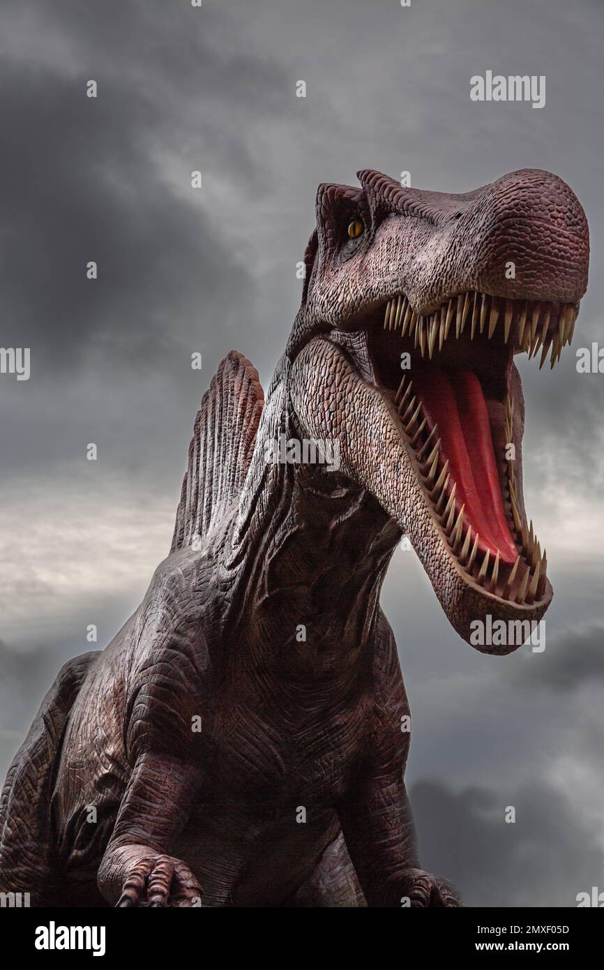 Un dinosaure féroce nommé Spinosaurus avec la bouche large ouverte et montrant ses dents aiguisées du rasoir contre un ciel spectaculaire avec un espace de copie Banque D'Images