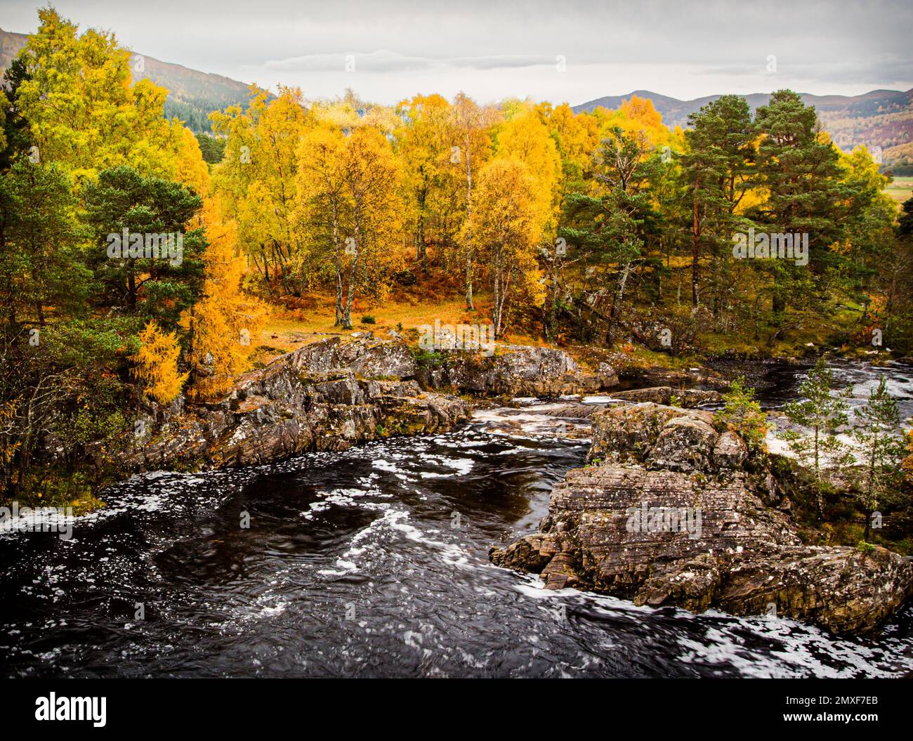 La rivière Black Water coule à travers le paysage autour de Little Garve dans les Highlands écossais en automne. Banque D'Images