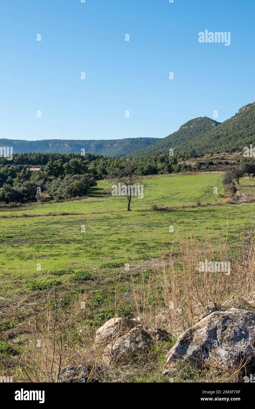 Champs de Matarrya. Une région de la province de Teruel, Espagne Banque D'Images