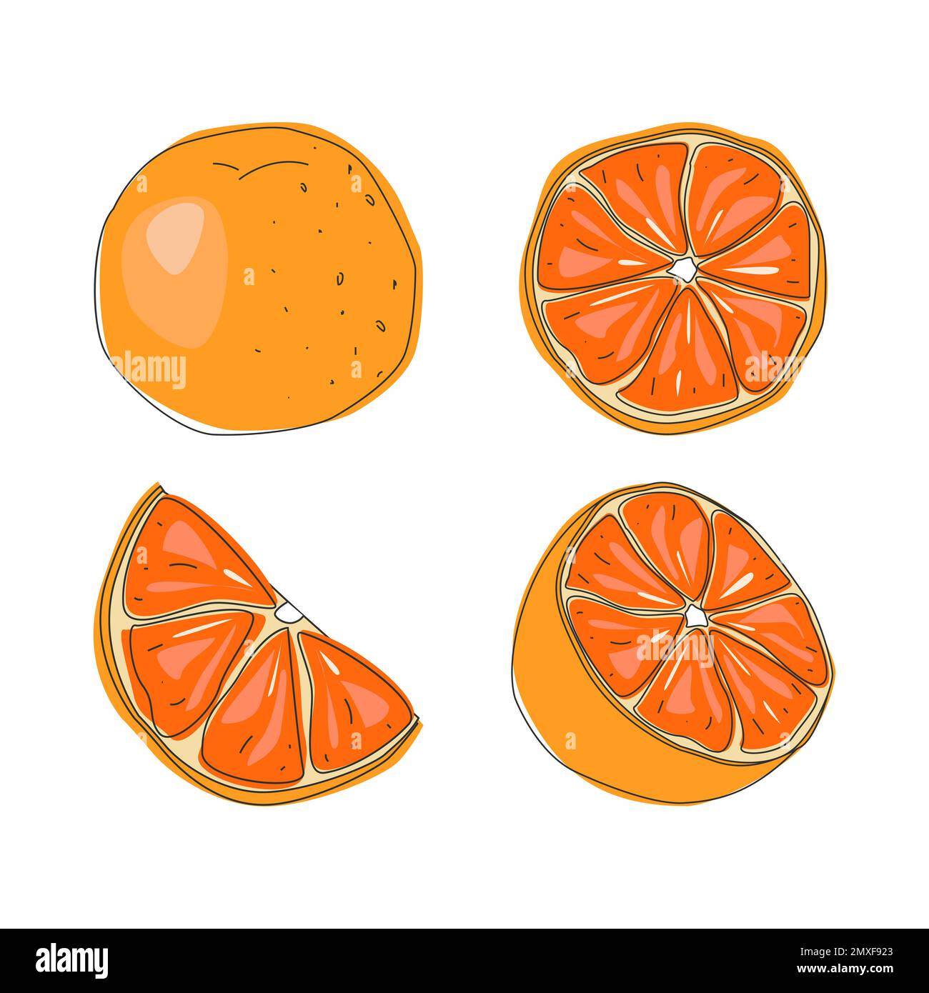Ensemble de fruits frais entiers, de moitié, coupés en tranches et de feuilles de fruits orange isolés sur fond blanc. Mandarine. Fruits biologiques. Illustration de Vecteur