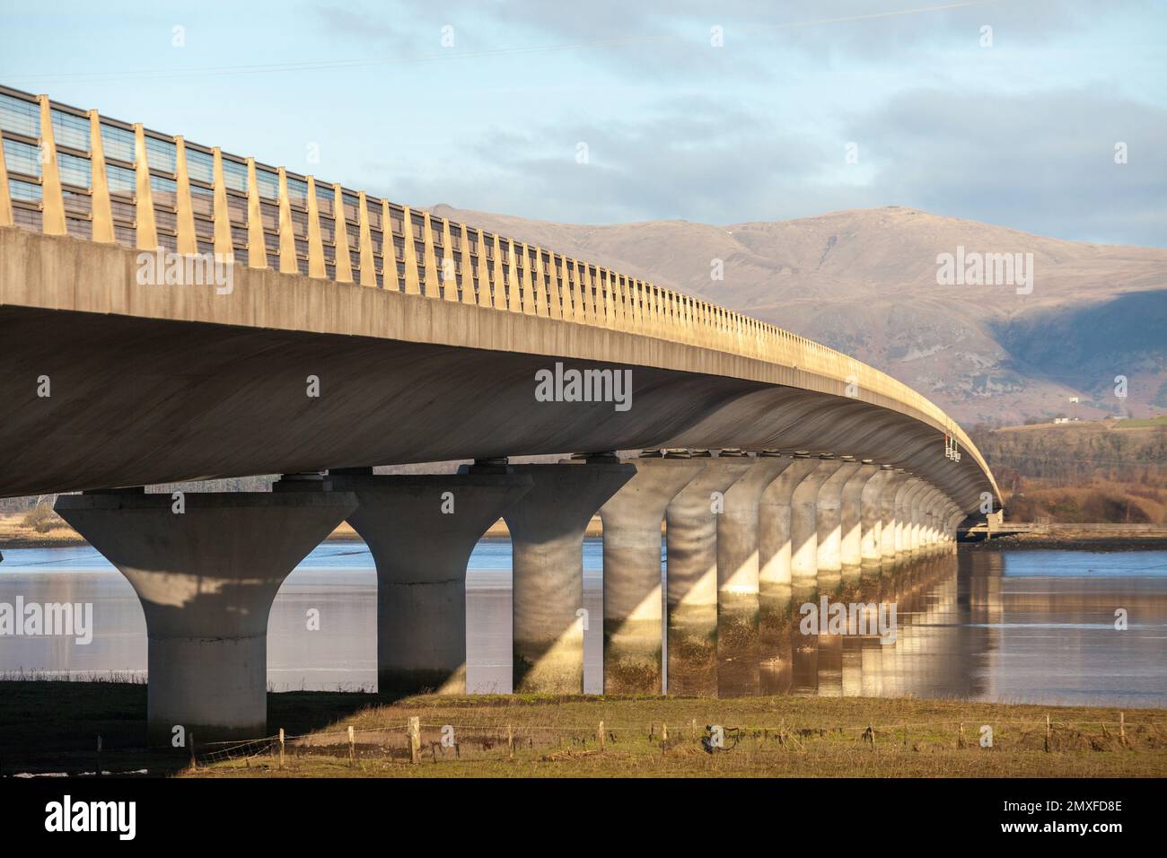 Clackmannanshire Bridge au-dessus du Firth of Forth en Écosse qui a ouvert à la circulation le 19 novembre 2008 Banque D'Images