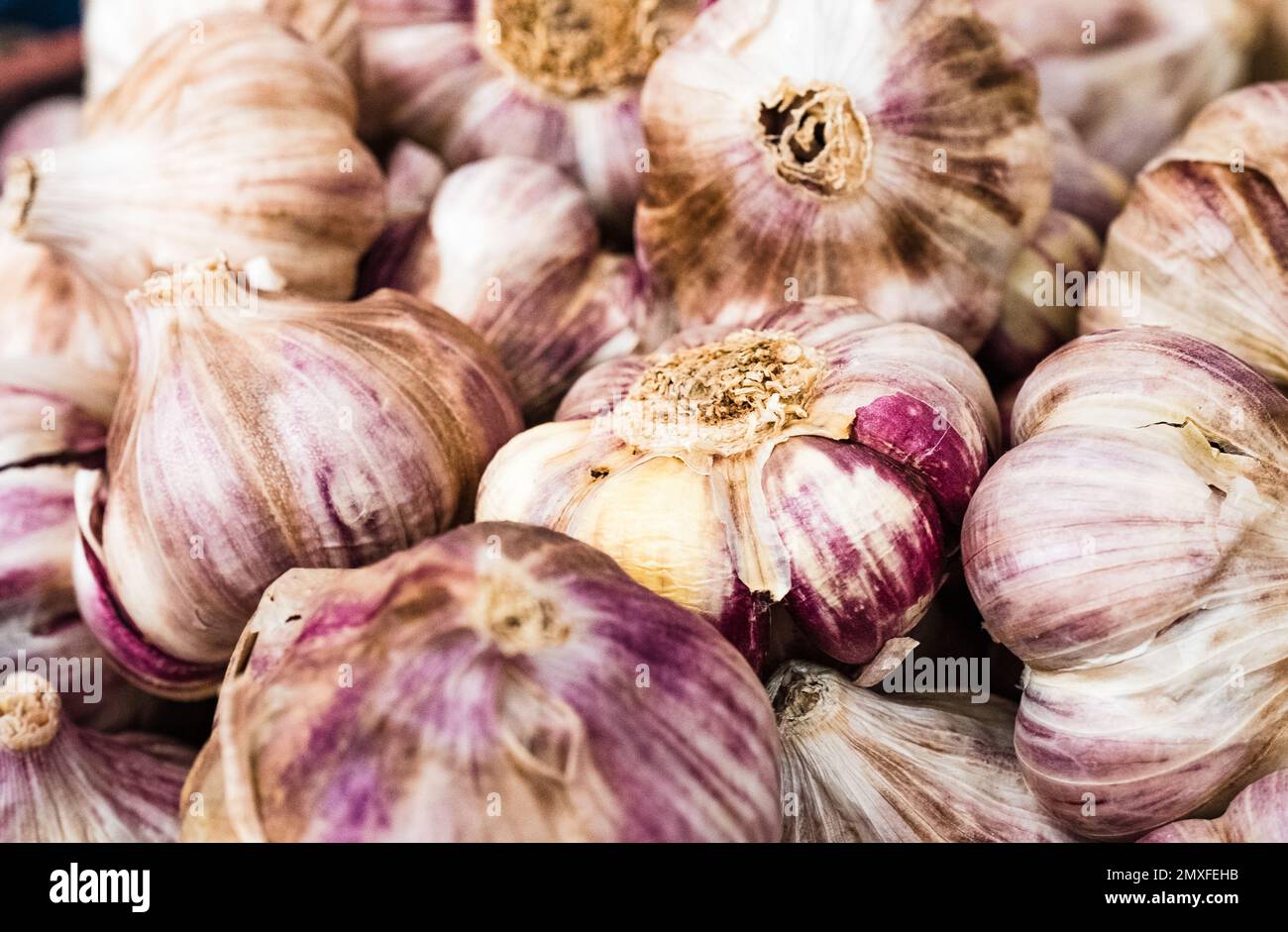 Ail fumé biologique en vente sur un marché alimentaire artisanal. Banque D'Images