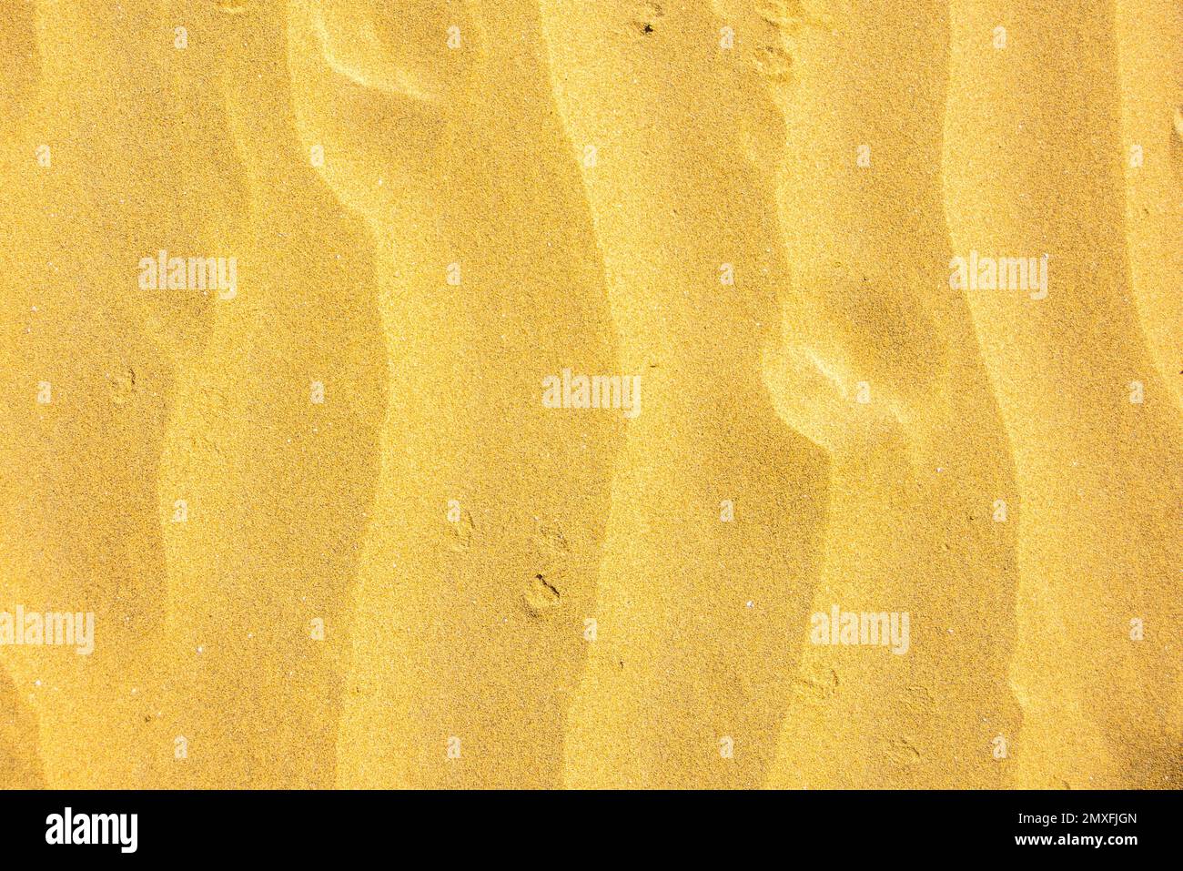 Texture ou motif de sable doré Banque D'Images