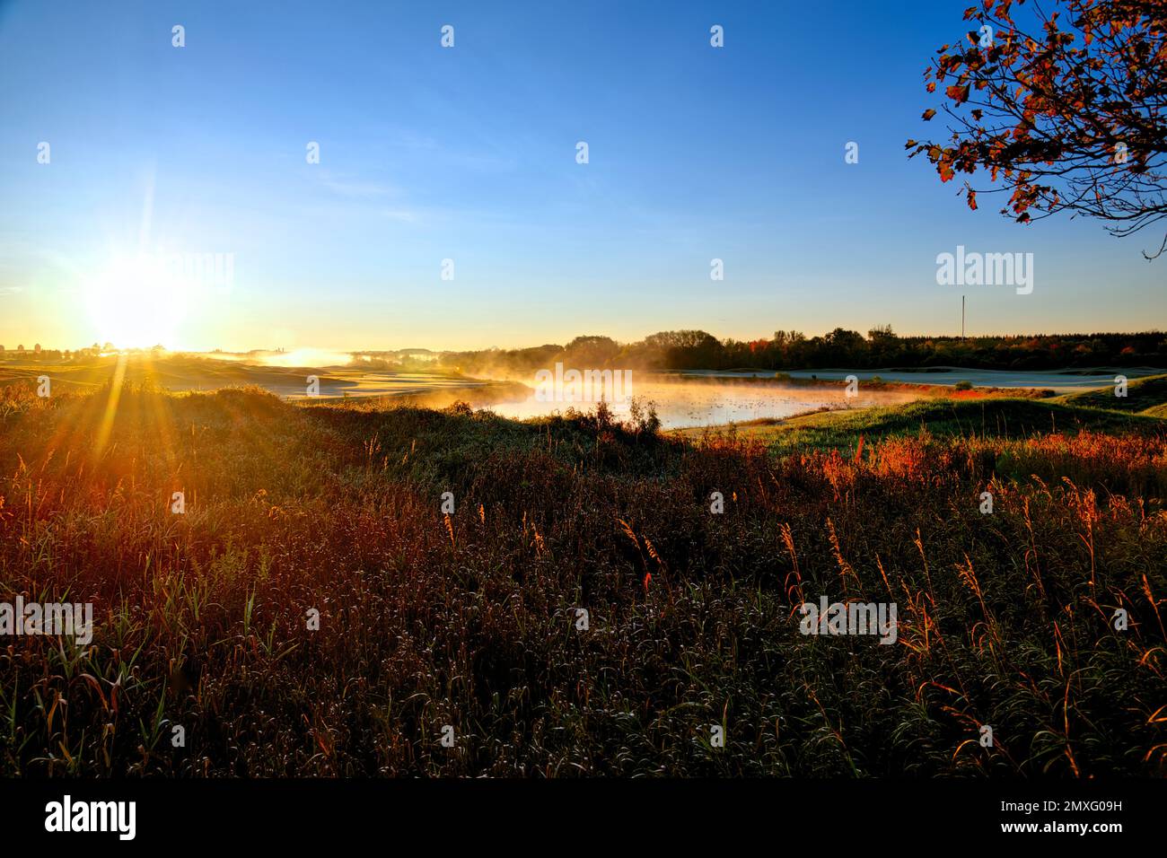 Lever du soleil dans un étang avec brume Banque D'Images
