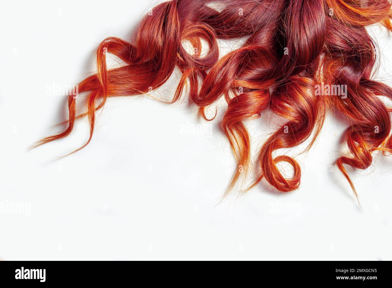 cheveux curly rouge foncé sur fond blanc isolé Banque D'Images